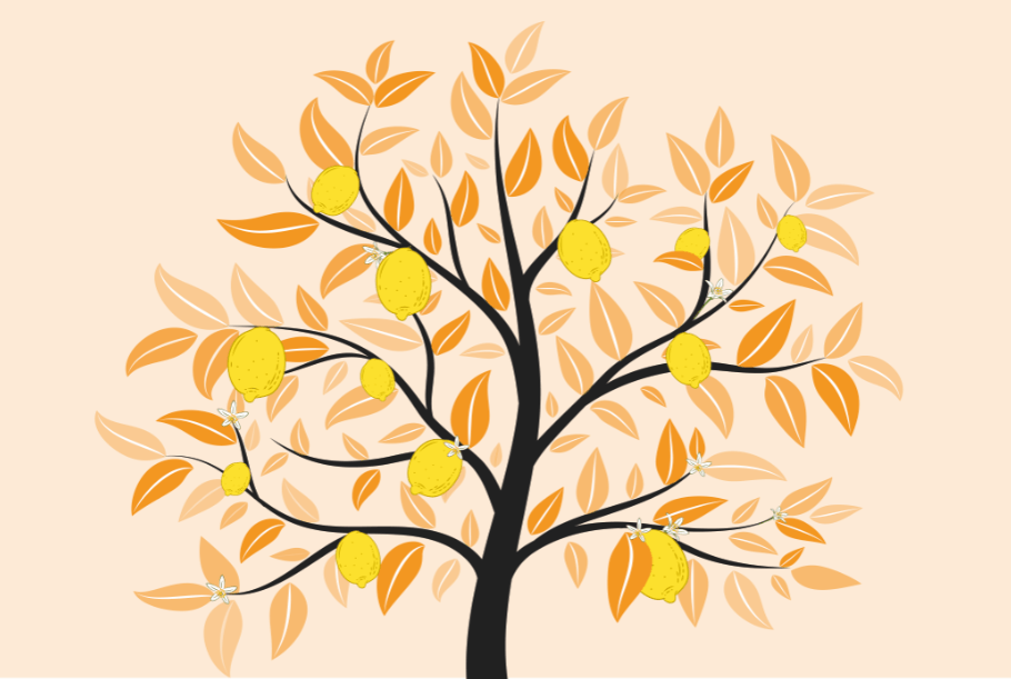 lemon-tree-featured-image-df-success-story